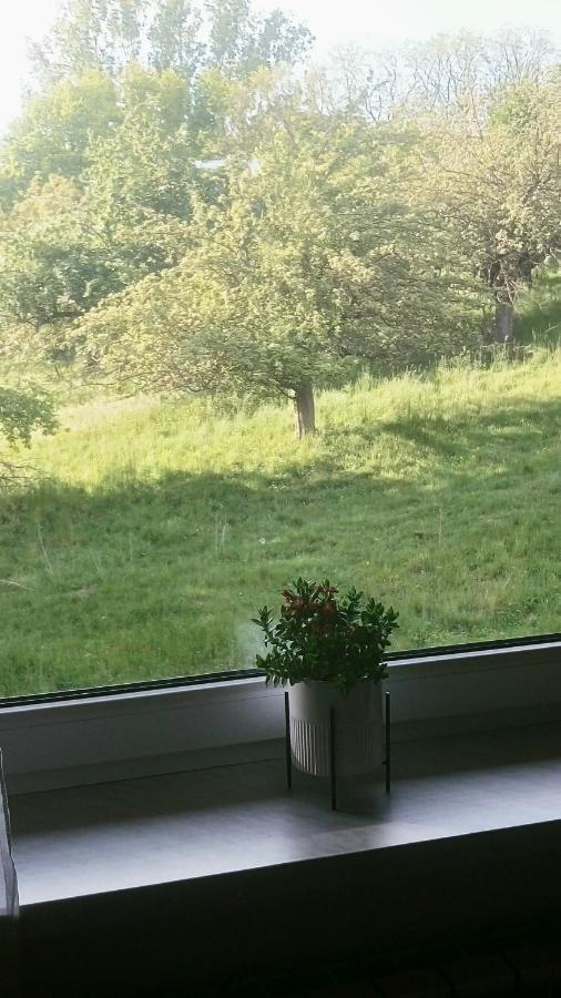 Ferienwohnung Przylesie Uniejów Exterior foto
